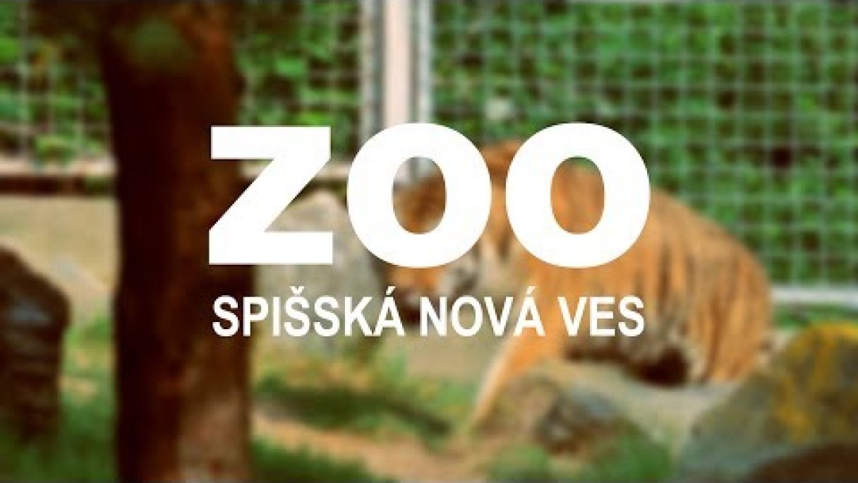 ZOO Spišská Nová Ves - Oficialne Promo 2017 Autor: Flux Films Zdroj: https://www.youtube.com/@fluxfilms4172