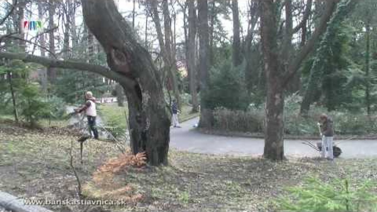 Jarná Brigáda dobrovoľníkov v Botanickej záhrade Autor: Mluvicioko Zdroj: https://www.youtube.com/@Mluvicioko