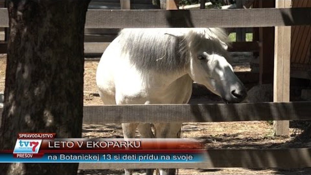 Leto v Ekoparku Autor: televiziaTV7 Zdroj: https://www.youtube.com/@televiziaTV7