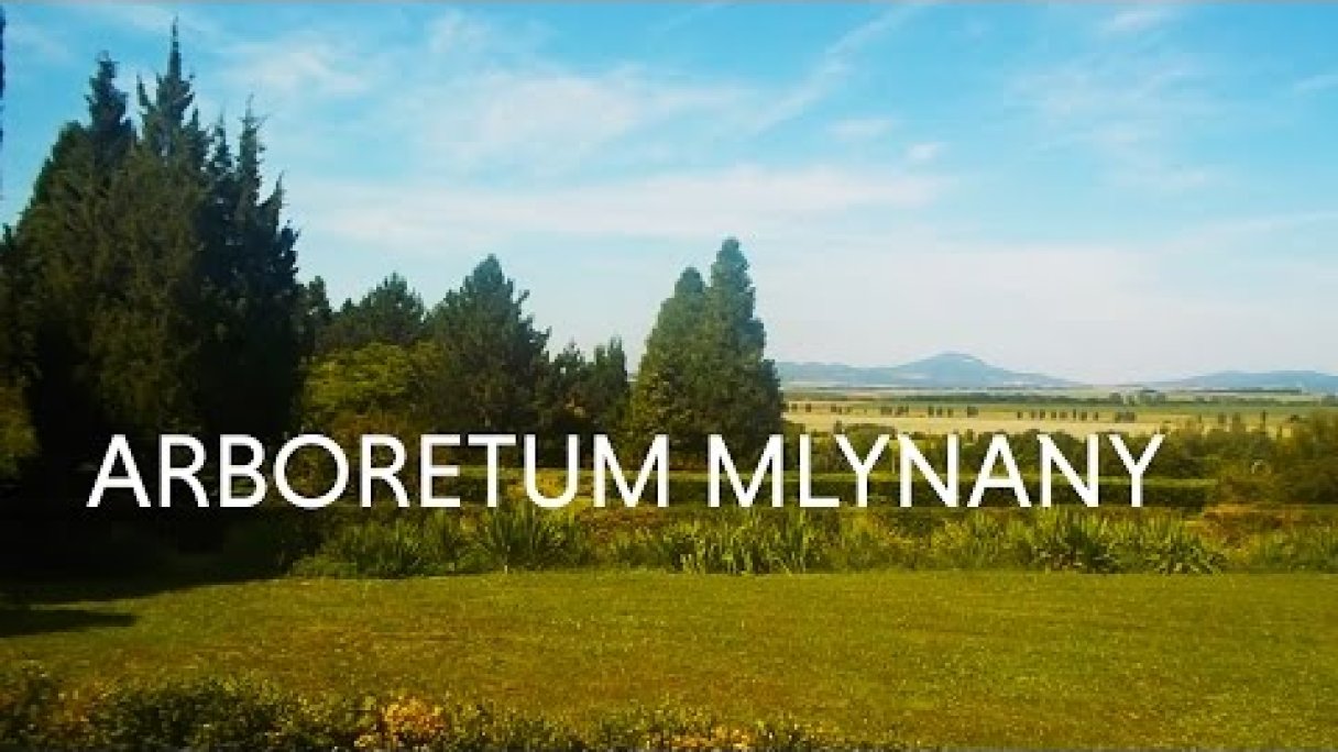 BOTANICAL GARDEN IN MIDDLE OF NOWHERE - MLYNANY, SLOVAKIA (EUROPE) Autor: inspiratioon_com Zdroj: https://www.youtube.com/@inspiratioon_com