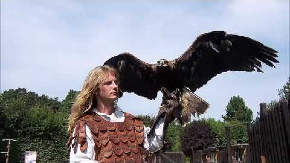 Aquila sokoliari Bojnice Autor: pozriemesi Zdroj: https://www.youtube.com/@pozriemesi