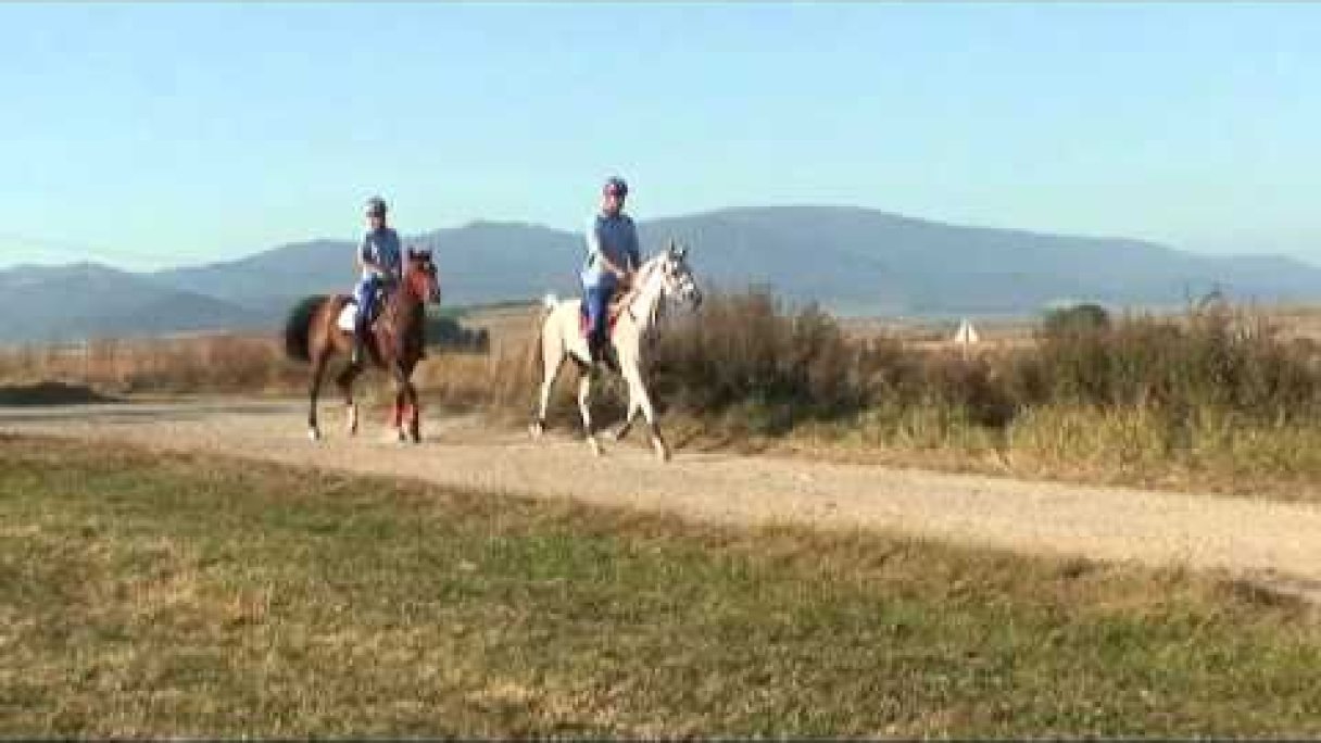 Farma Jack Mošovce - video 1 Autor: Peter Jašek Zdroj: https://www.youtube.com/@PeterJasek Farma Jack Mošovce - video 1 Autor: Peter Jašek Zdroj: https://www.youtube.com/@PeterJasek