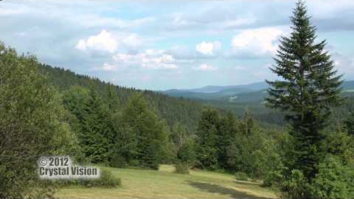 Rozhľadňa v sedle Beskyd (Orava) Autor: Slovensky Trip Zdroj: https://www.youtube.com/@slovaktrip Rozhľadňa v sedle Beskyd (Orava) Autor: Slovensky Trip Zdroj: https://www.youtube.com/@slovaktrip