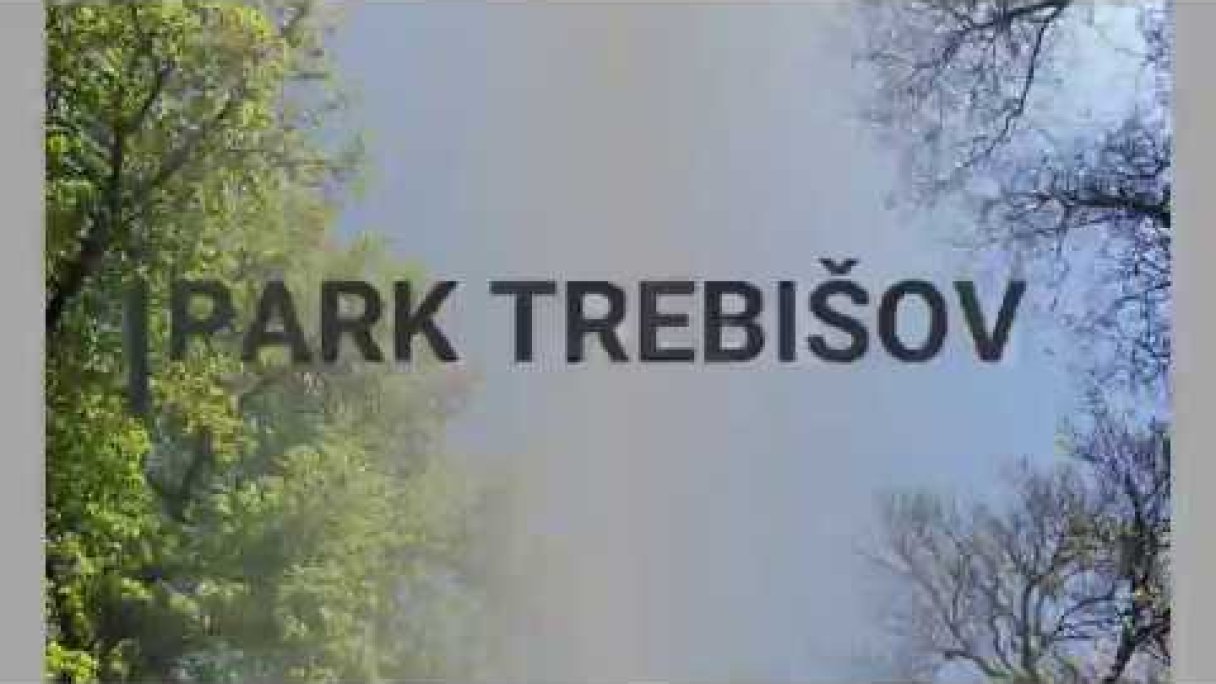 Park Trebišov Autor: Weather of Slovakia by J&J Zdroj: https://www.youtube.com/@weatherofslovakiabyjj8586