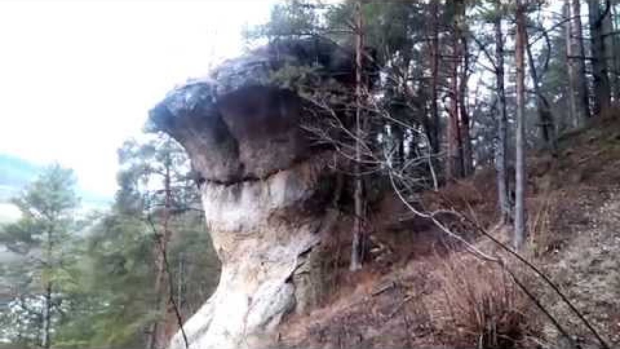 SKALNY HRIB-SLOVENSKA LUPCA Autor: Juraj Buzák Zdroj: https://www.youtube.com/@BKJURAJ
