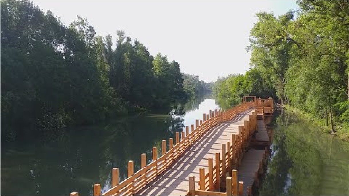 Korzo Zálesie Autor: Miloš Kasal Zdroj: https://www.youtube.com/@miloskasal