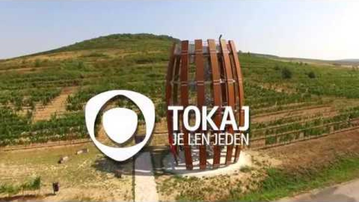 Tokaj je len jeden Autor: Vinohradnícka oblasť Tokaj Zdroj: https://www.youtube.com/@vinohradnickaoblasttokaj7074