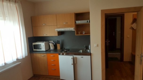 Kuchynský kút v obývacej izbe apartmánu