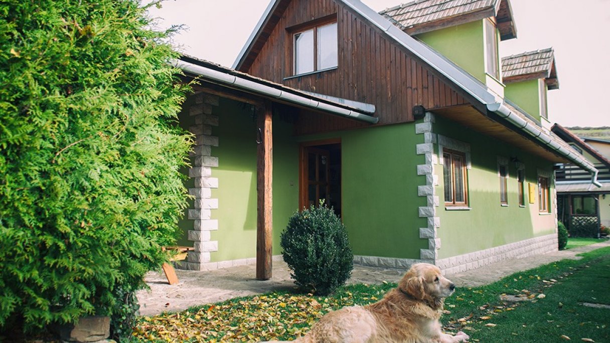 Zelená chalúpka a domček Hrabušice 1