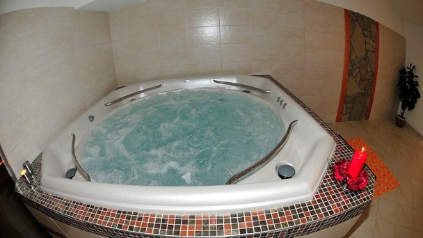 Wellness