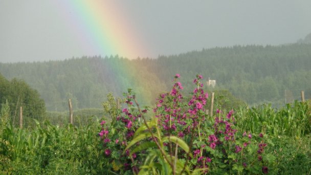 Kozí dvor Rohozná Brezno 17