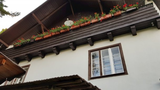 Drevenica Španka Špania Dolina 10