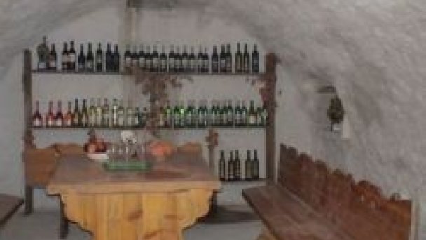 Bio vínna pivnica Bio vínna pivnica