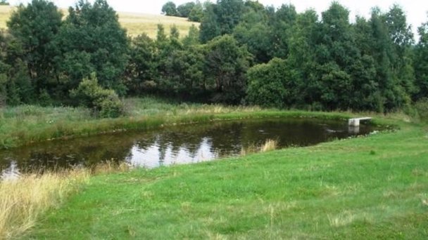 Drevenica Žihľava Cinobaňa 13