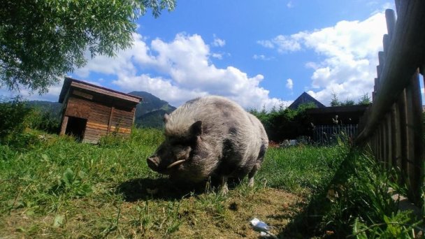 Apartmány Centrum Pavčina Lehota 22