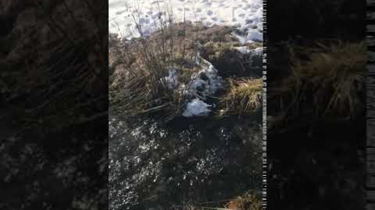 Jazierske travertíny Autor: Labky na Cestách Zdroj: https://www.youtube.com/@labkynacestach4964