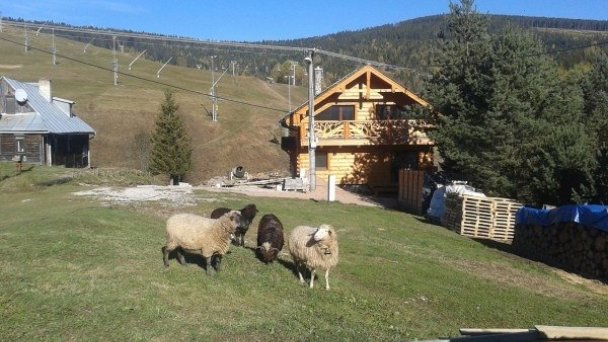 Chata Bachledka Bachledova dolina Ždiar 22