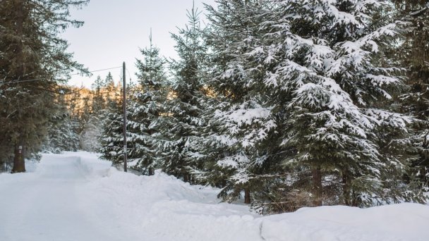 Greiner Boutique Mountain Chalet Ždiar - Monkova dolina 74