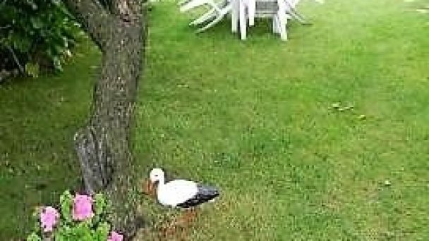Apartmány Katka Veľká Lomnica 26