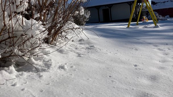 Chalúpka Čučoriedka Veľký Slavkov 11 Chalúpka Čučoriedka Veľký Slavkov 11