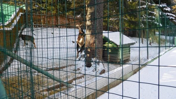 Apartmán č. 27 - Apartmánový dom Patris Tatranská Štrba 28