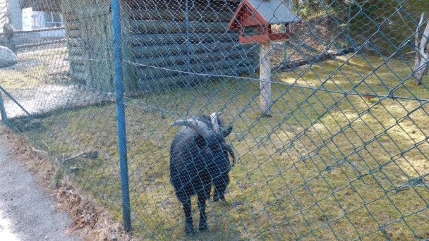 Apartmán č. 27 - Apartmánový dom Patris Tatranská Štrba 30