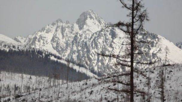 VPS Vysoké Tatry Starý Smokovec 28