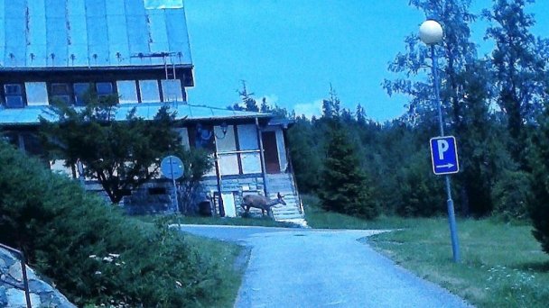Apartmán Tatranské Zruby 10 Apartmán Tatranské Zruby 10