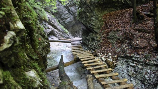 Chalet Slovenský Raj ****  Košiarny briežok 46