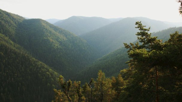 Sovia wellness chata Spišské Tomášovce 55