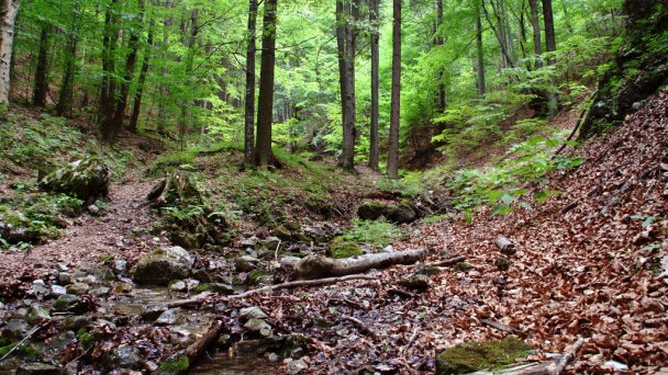 Dom Pútnika Spišská Nová Ves 20 Dom Pútnika Spišská Nová Ves 20