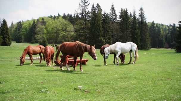 Dom Pútnika Spišská Nová Ves 21 Dom Pútnika Spišská Nová Ves 21