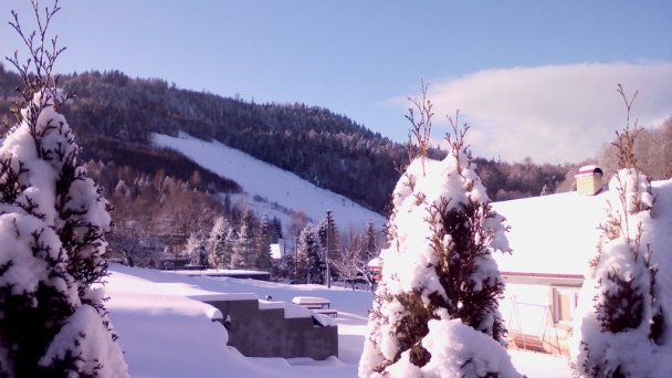 Drevenica Southfork Hnilčík 21