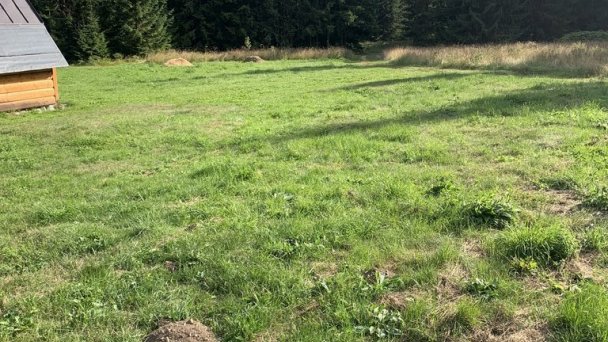 Drevenice pod Kriváňom Podbanské 58