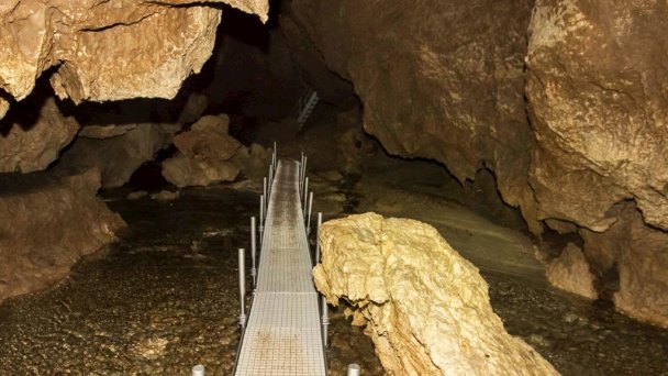 Ružový penzión Vitanová 73 Ružový penzión Vitanová 73