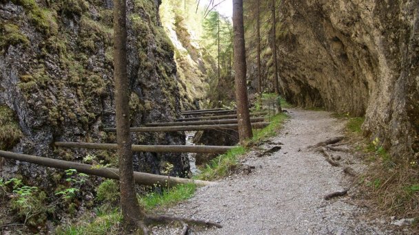 Ružový penzión Vitanová 74 Ružový penzión Vitanová 74