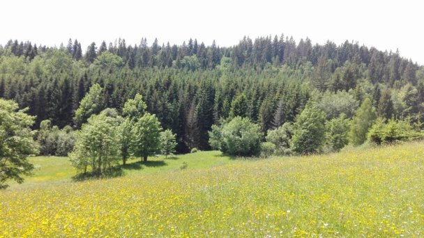 Chata pod Repiskom  Oravské Veselé 23