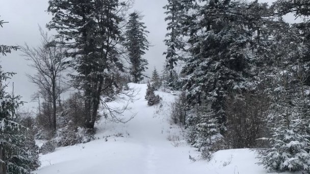 Chata Dorotka Vyšné Ružbachy 19