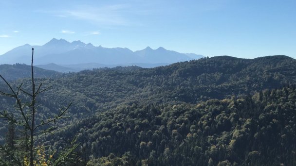 Chata Dorotka Vyšné Ružbachy 26