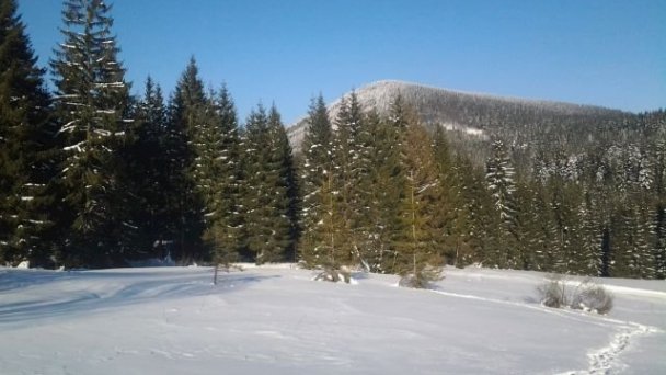 Chaty Hasky  Oravská Lesná 102