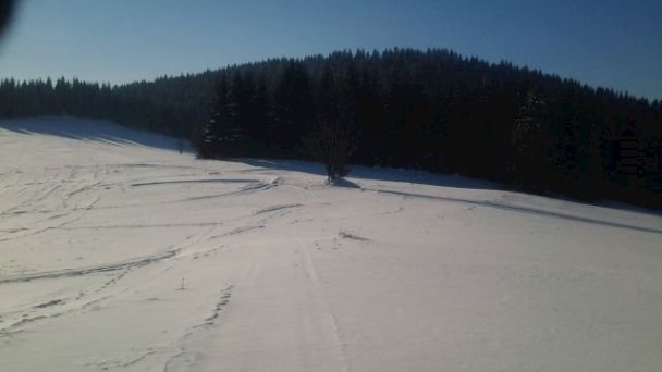 Chaty Hasky  Oravská Lesná 106