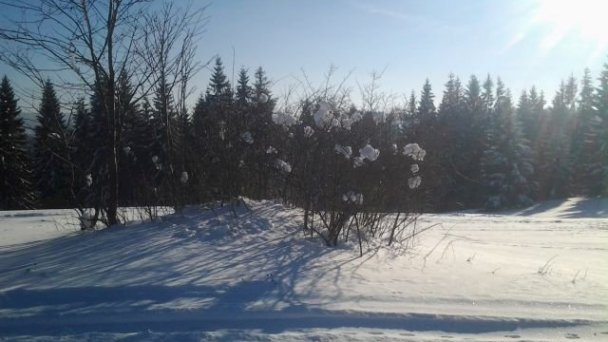 Chaty Hasky  Oravská Lesná 107