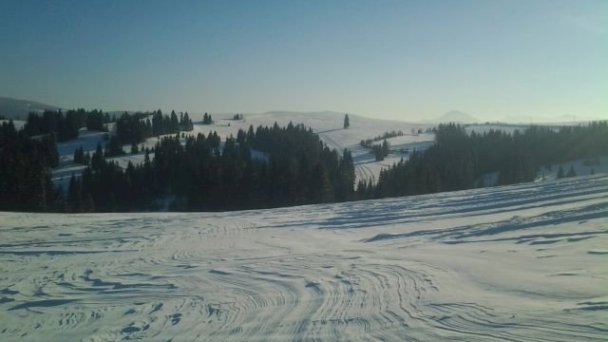 Chaty Hasky  Oravská Lesná 108