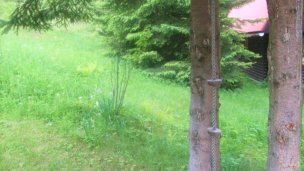 Chata Na kopci nad Oravskou Priehradou  Námestovo 3