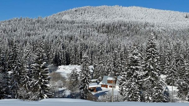 Chata pri vláčiku Oravská Lesná 8