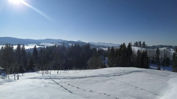 Lesňanská chata Oravská Lesná 35