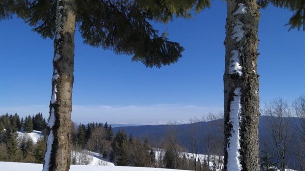 Lesňanská chata Oravská Lesná 36
