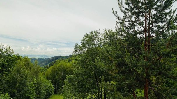 Zrub Bindt Hnilčík 97 Zrub Bindt Hnilčík 97