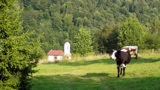 Chata Medzibrodie Mníšek nad Popradom 16
