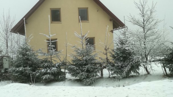 Chata Sisi 1337 Oravská Lesná 28 Chata Sisi 1337 Oravská Lesná 28